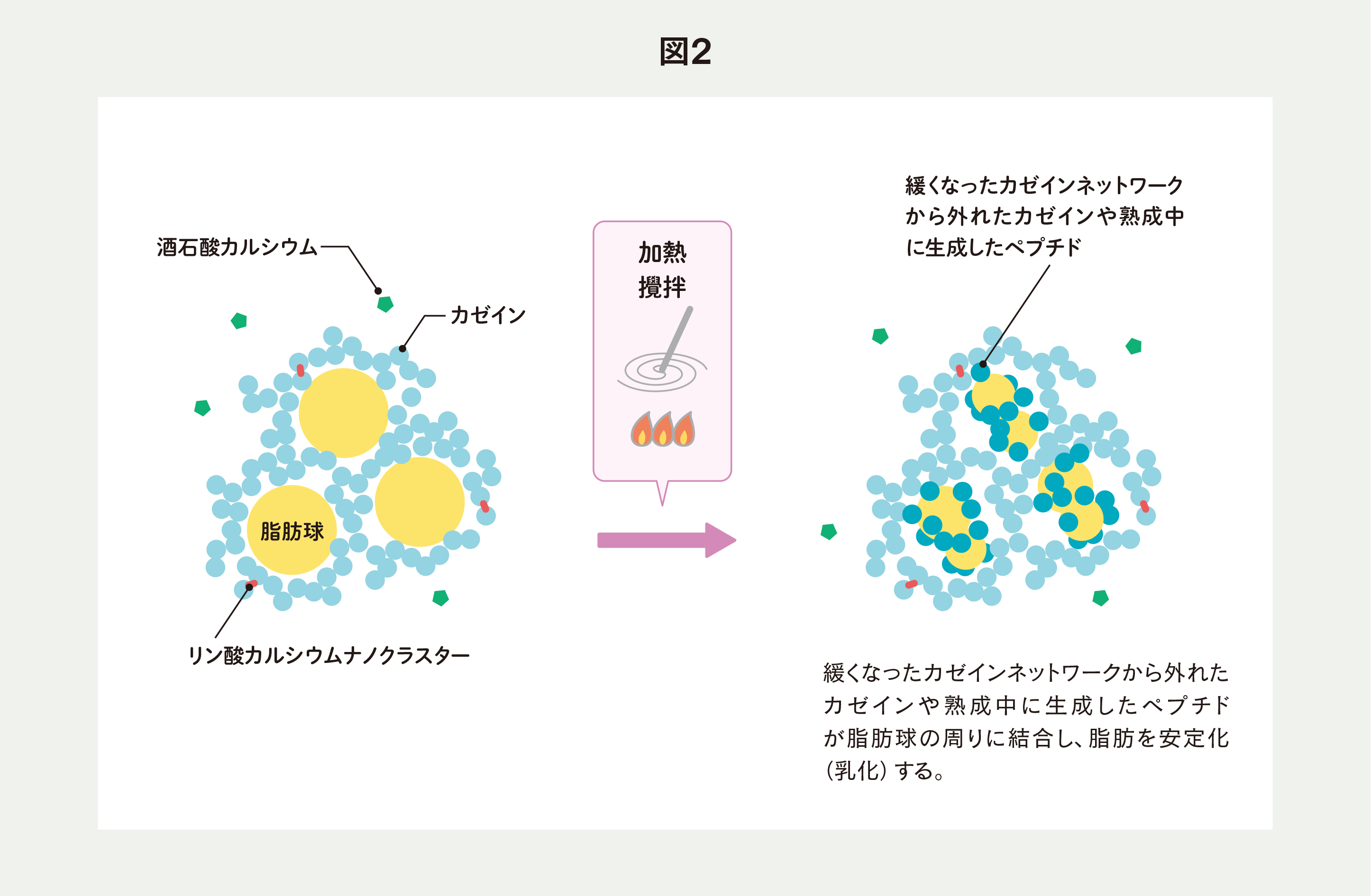 チーズ 乳化剤 リン酸塩 – メルトチーズとは – ALQO