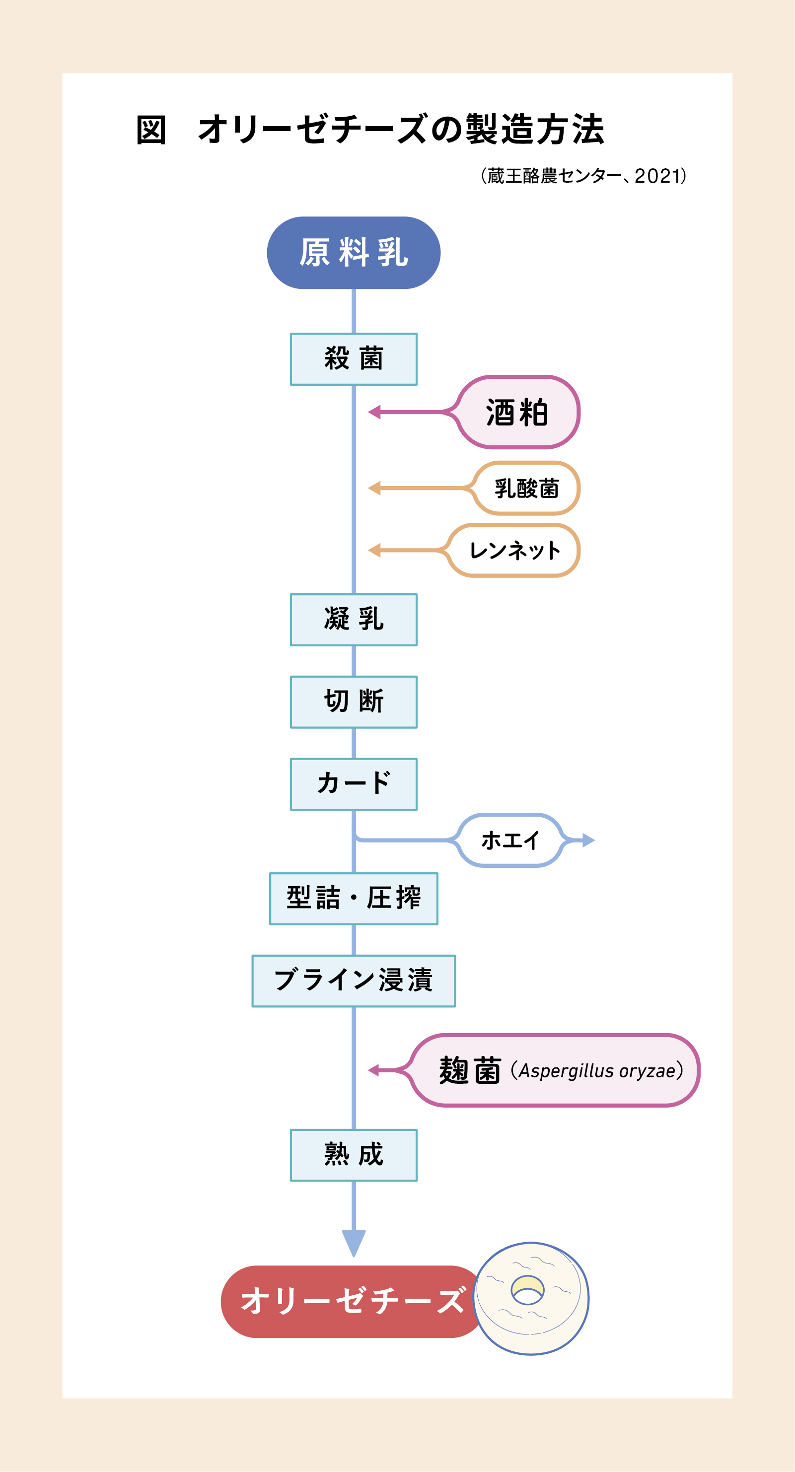 C.P.A. | 乳科学 マルド博士のミルク語り