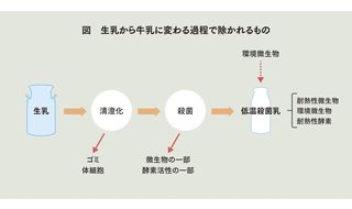 チーズの風味や組織と脂肪球の関係