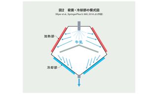 LTST殺菌