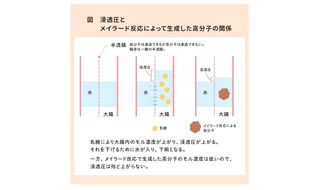 メイラード反応と乳糖不耐症