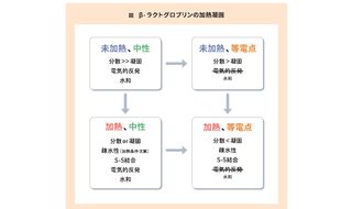 UHT牛乳の保存中に生じる増粘現象