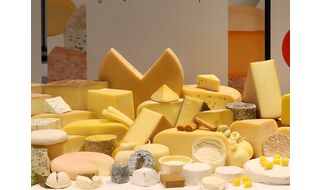 2024.1.28（福岡）世界に誇る国産チーズ