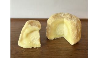 11.8 東海エリア生産者 スペシャルチーズセミナー