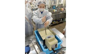 11.27 東京 チーズ製造の理解を深めよう！ チェダーチーズ製造実習