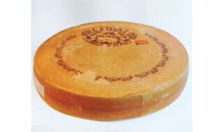 10.14 東京 【昼の部】SWISS CHEESE SURPRISE！