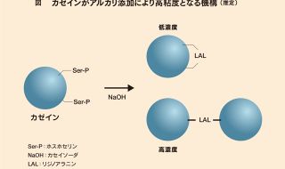 戦闘機とカゼイン