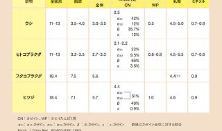 ラクダのチーズ