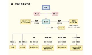 銭を生むホエイ