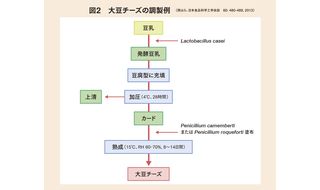 植物性食品だからヘルシー ？？